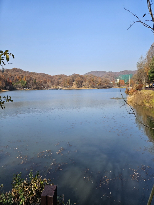 92614b2af99b6865a9334f185c0f154c_1763943