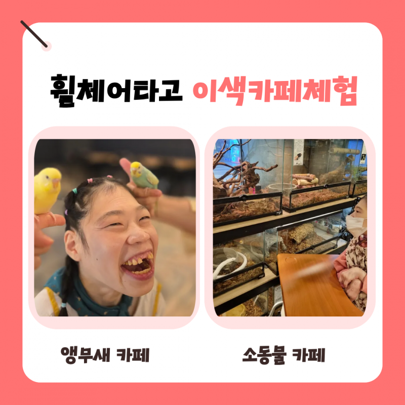 690764606d091ea1d9b194b3a06d2f43_1765547