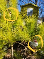 05d164dbf381e50a4632ca52275679ff_1771994